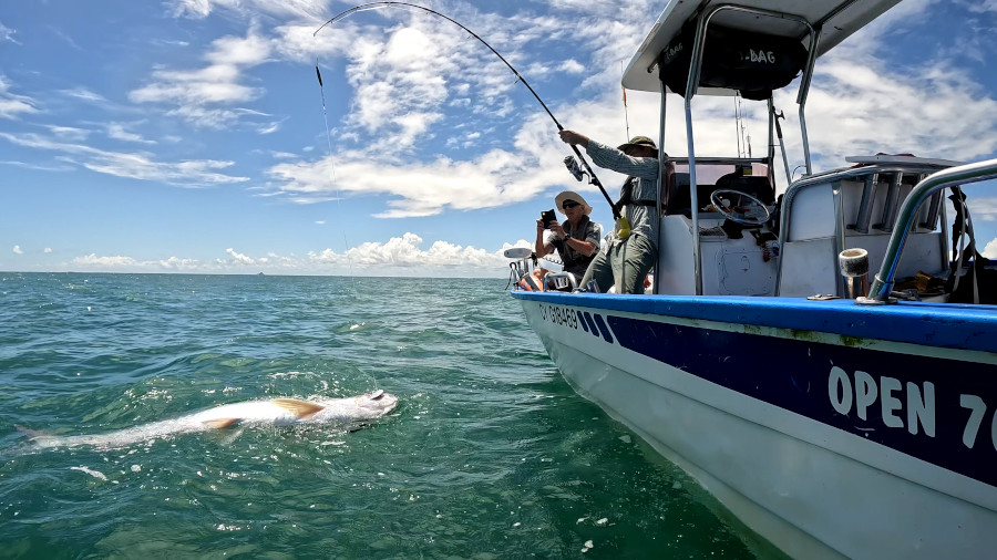 sdiver-king-french-guide